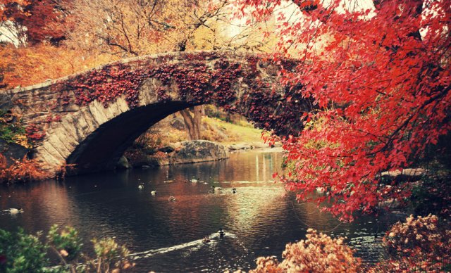 autumn_in_new_york_city__by_inbrainstorm-d56q3ky.jpg, 475 KB